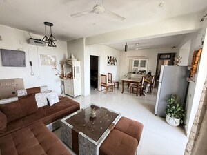 Living Room in 3 BHK Apartment at Tulip Violet, Sector 69 – for Rent