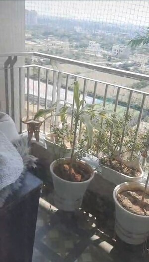 Balcony in 3 BHK Apartment at BPTP Discovery Park, Sector 80 – for Rent