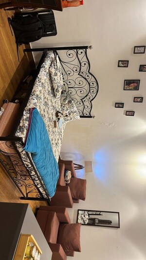 3 BHK Apartment For Rent in Jungpura Extension