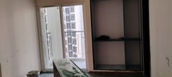 2 BHK Apartment For Rent in Amrapali Ivory Heights