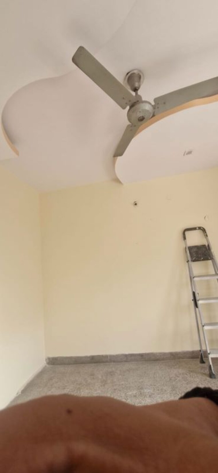 Room, sector 8 2.5 Bedroom 160 Sq.Ft. Independent House In Sector 8 Faridabad 10346014