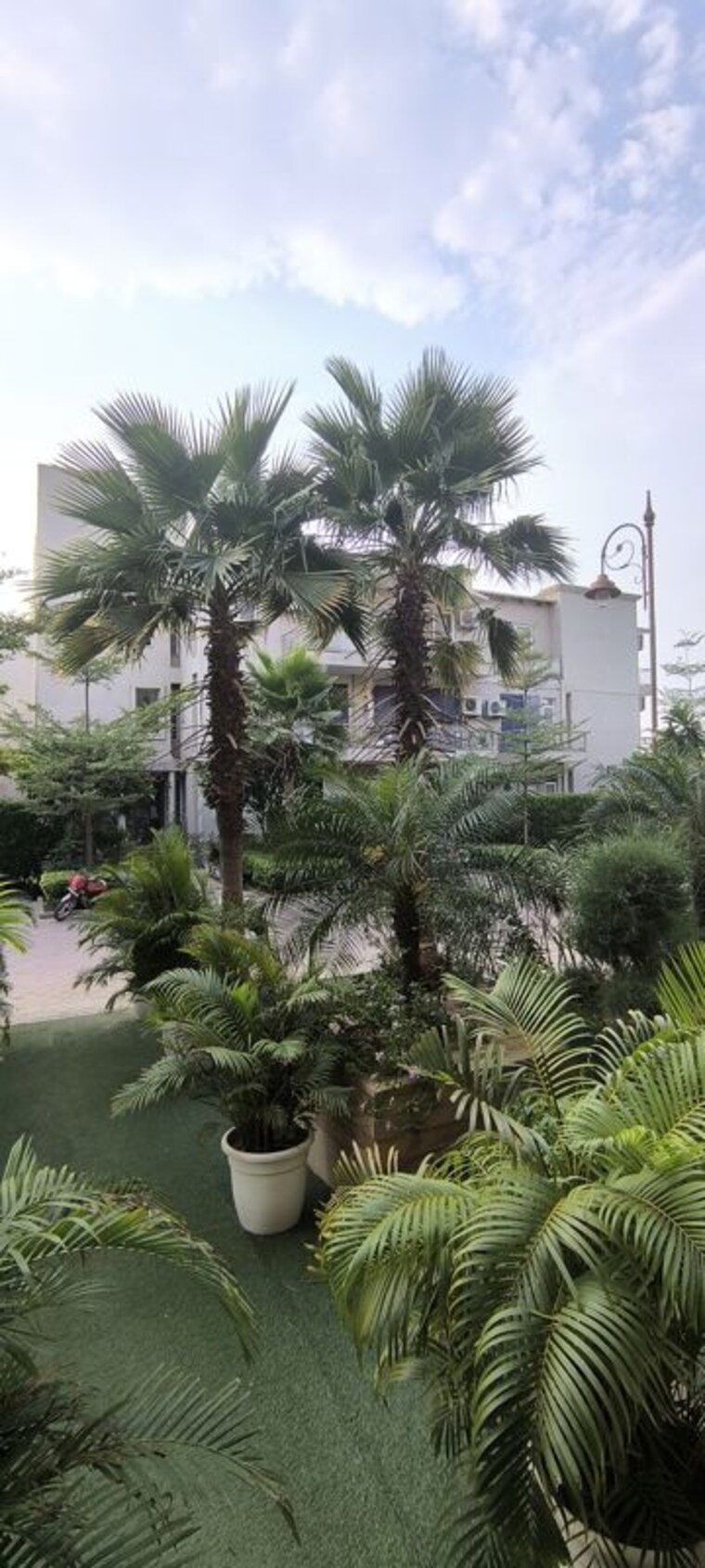 Garden, bptp-amstoria 3 Bedroom 2700 Sq.Ft. Apartment In Sector 102 Gurgaon 10346181
