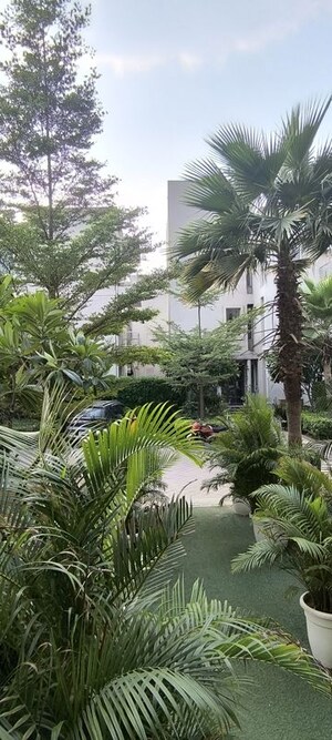 3 BHK Apartment – Garden View at BPTP Amstoria, Sector 102 - for Rent