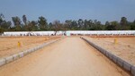 150 Sq.Yd. Plot in Amangal