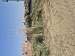 1000 Sq.Ft. Plot in Jhalwa
