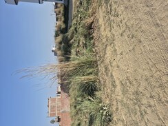 Plot For Sale in Jhalwa