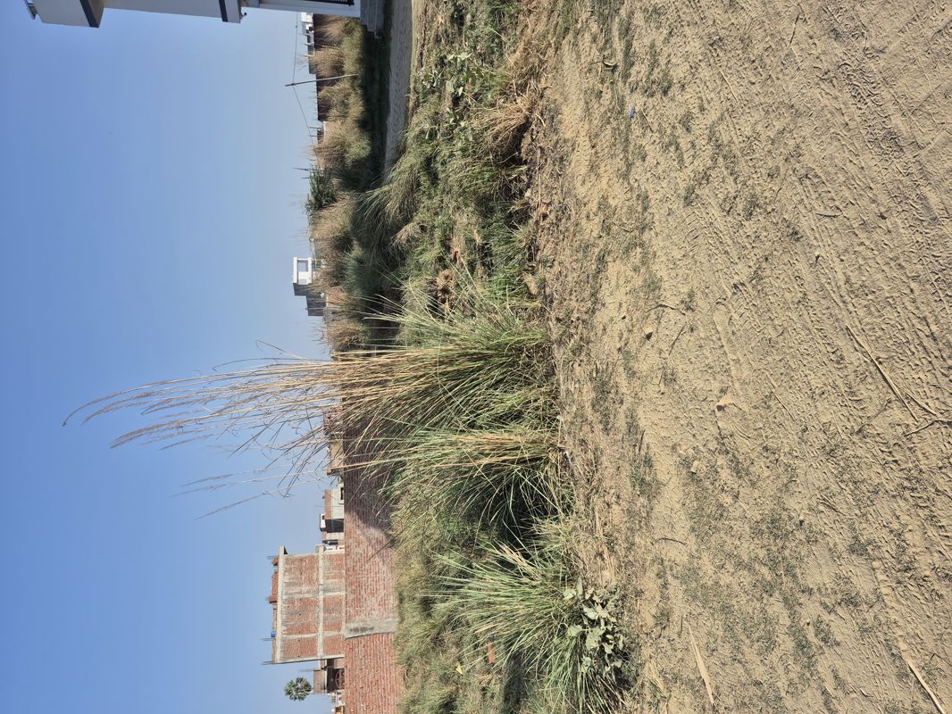Plot For Sale in Jhalwa