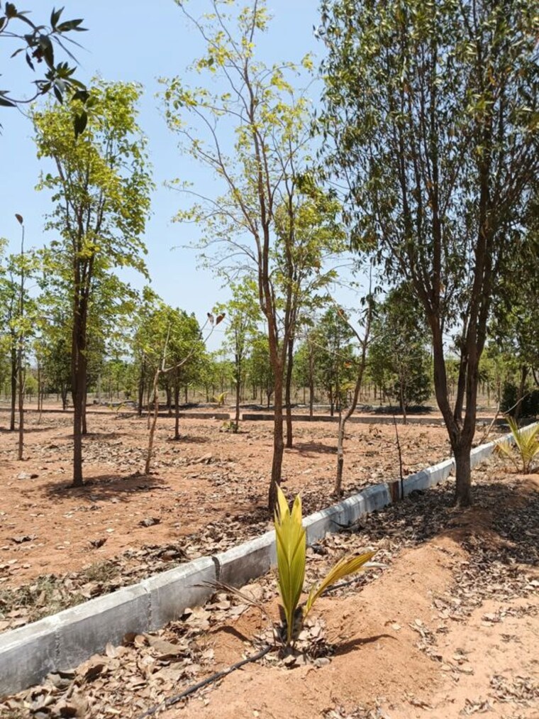 undefined, ghatkesar  121 Sq.Yd. Plot In Ghatkesar Hyderabad 10346455