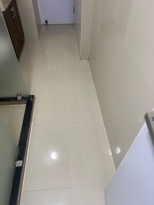 Building Lobby in 4 BHK Apartment at Tulip Violet, Sector 69 – for Sale