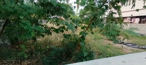  Plot – Garden View at Kuttanellur - for Sale