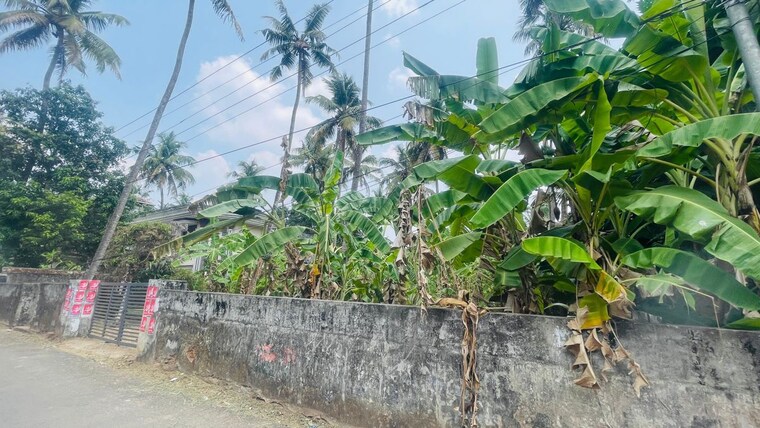 Exterior View, chiyyaram  7406 Sq.Ft. Plot In Chiyyaram Thrissur 10346590