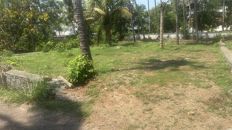 undefined, aranattukara  3929 Sq.Ft. Plot In Aranattukara Thrissur 10346621
