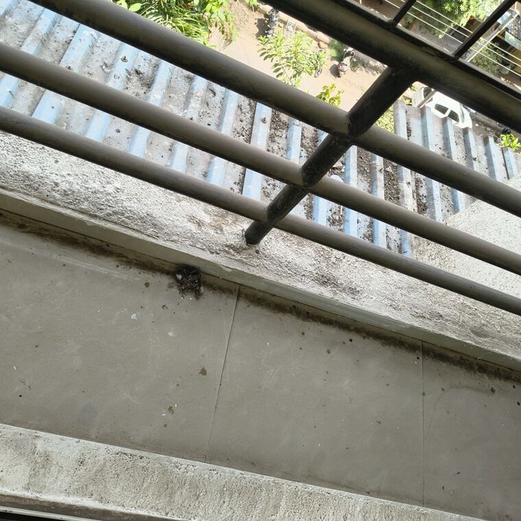 Exterior View, narmada-chs-kamothe 2 Bedroom 1050 Sq.Ft. Apartment In Kamothe Navi Mumbai 10346647