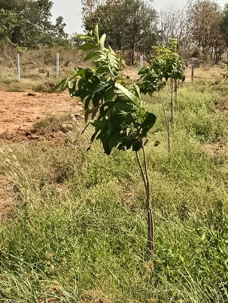 undefined, uppal  121 Sq.Yd. Plot In Uppal Hyderabad 10346733
