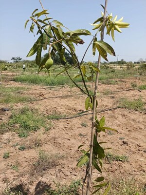  Plot For Sale in Uppal