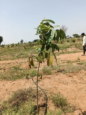 Plot Area in  Plot at Uppal – for Sale