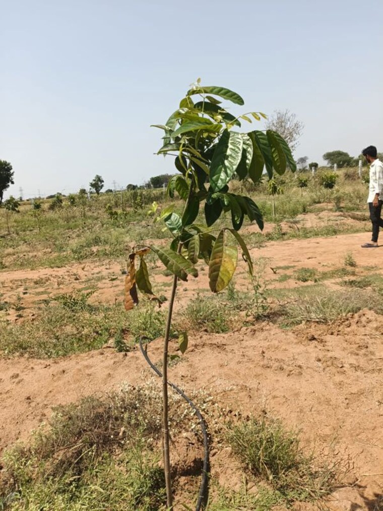 undefined, uppal  121 Sq.Yd. Plot In Uppal Hyderabad 10346733