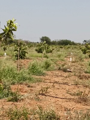 Plot Area in  Plot at Uppal – for Sale