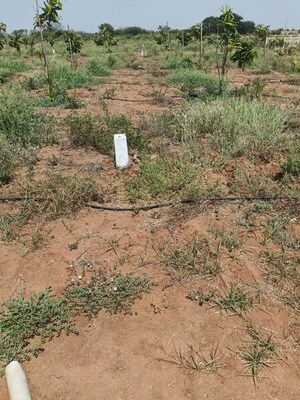 Plot Area in  Plot at Uppal – for Sale