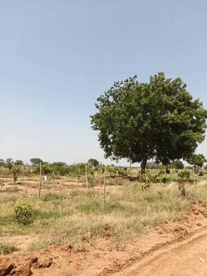 Plot Area in  Plot at Uppal – for Sale