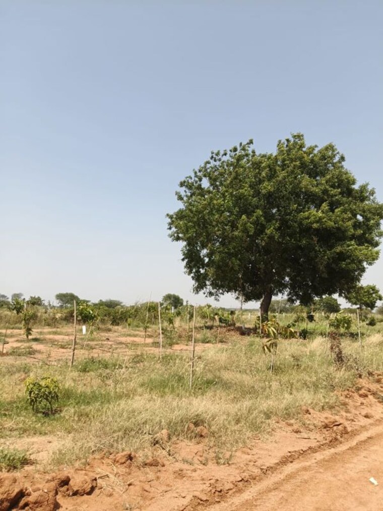 undefined, uppal  121 Sq.Yd. Plot In Uppal Hyderabad 10346733