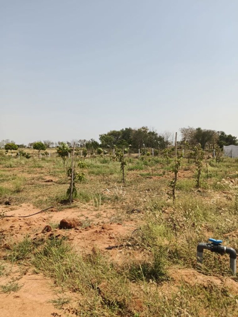 undefined, uppal  121 Sq.Yd. Plot In Uppal Hyderabad 10346733