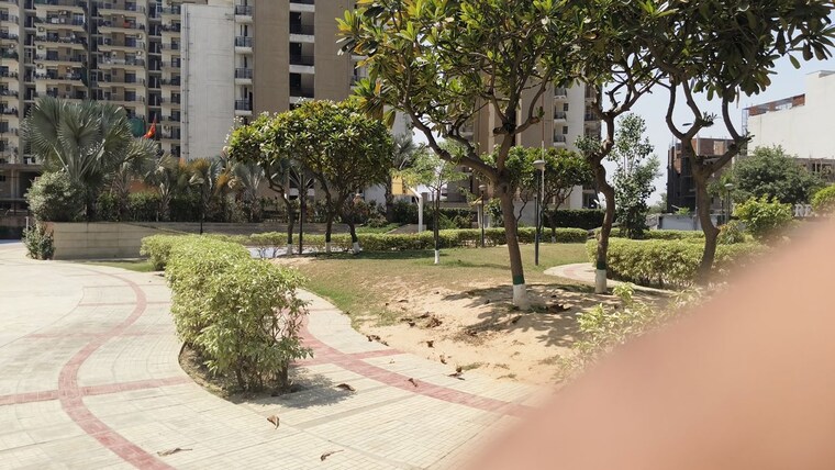Garden, tdi-the-grand-retreat 4 Bedroom 500 Sq.Yd. Builder Floor In Sector 88 Faridabad 10346817