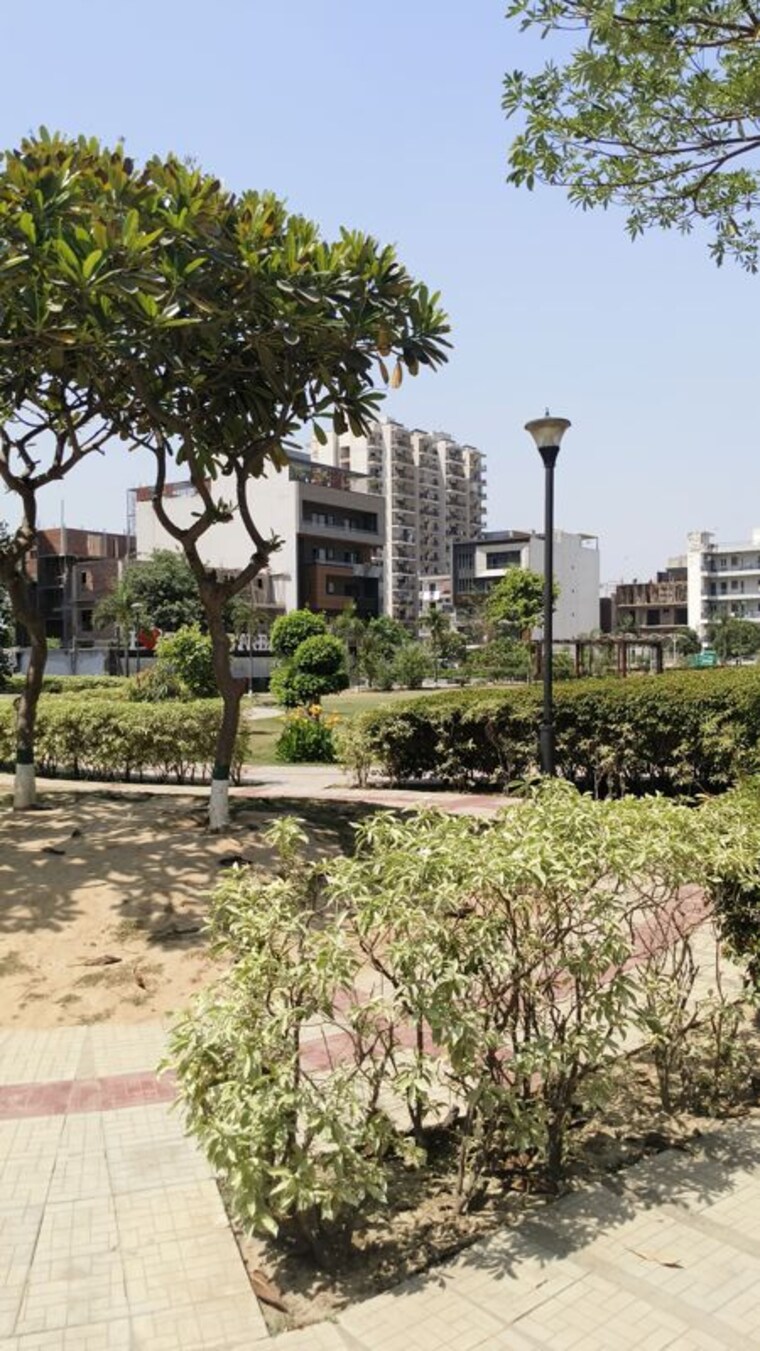Garden, tdi-the-grand-retreat 4 Bedroom 500 Sq.Yd. Builder Floor In Sector 88 Faridabad 10346817