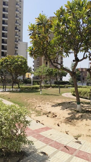 4 BHK Builder Floor – Garden View at TDI The Grand Retreat, Sector 88 - for Rent