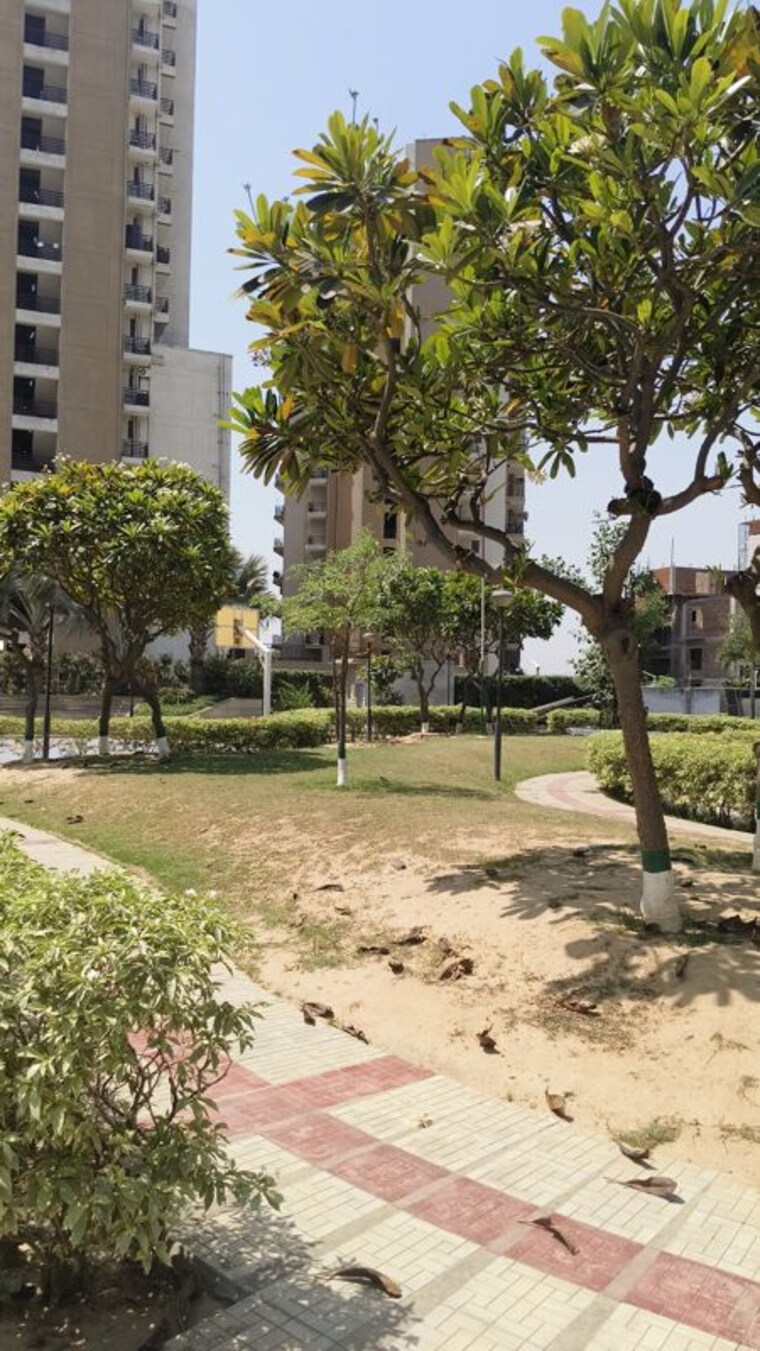 Garden, tdi-the-grand-retreat 4 Bedroom 500 Sq.Yd. Builder Floor In Sector 88 Faridabad 10346817
