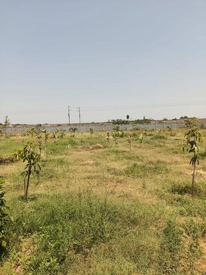 Plot Area in  Plot at Uppal – for Sale