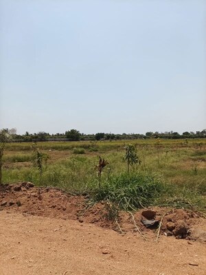 Plot Area in  Plot at Uppal – for Sale
