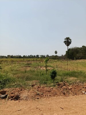 Plot Area in  Plot at Uppal – for Sale