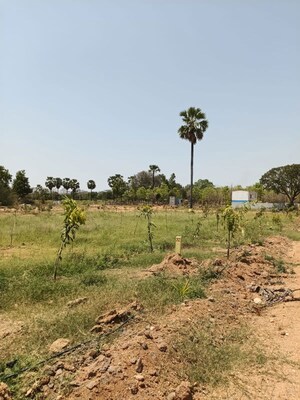 Plot Area in  Plot at Uppal – for Sale