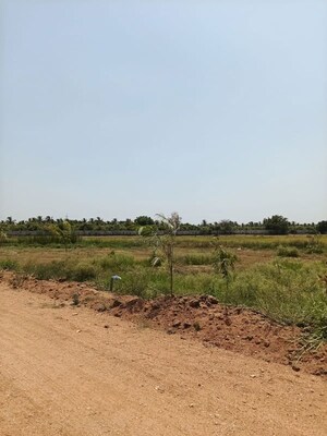 Plot Area in  Plot at Uppal – for Sale