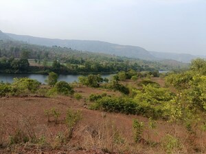 Plot Area in  Plot at Patan – for Sale