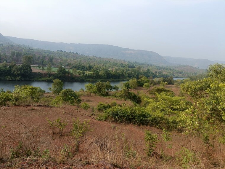 undefined, patan  40500 Sq.Ft. Plot In Patan Satara 10345752