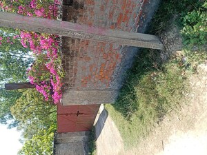 Plot For Sale in Sector 8