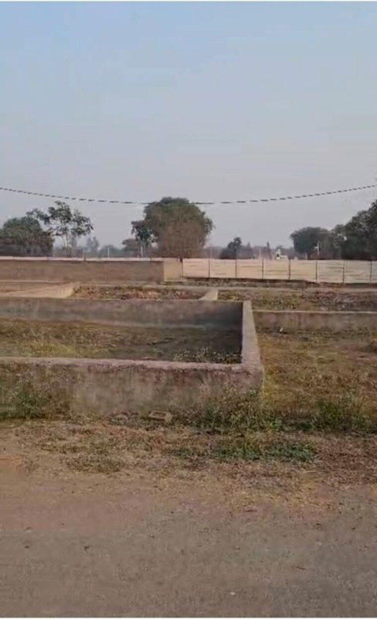undefined, saini  46 Sq.Yd. Plot In Saini Greater Noida 10347340