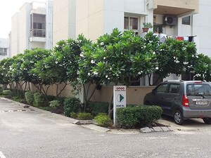3 BHK Builder Floor – Exterior View View at BPTP Park Elite Floors, Sector 85 - for Sale