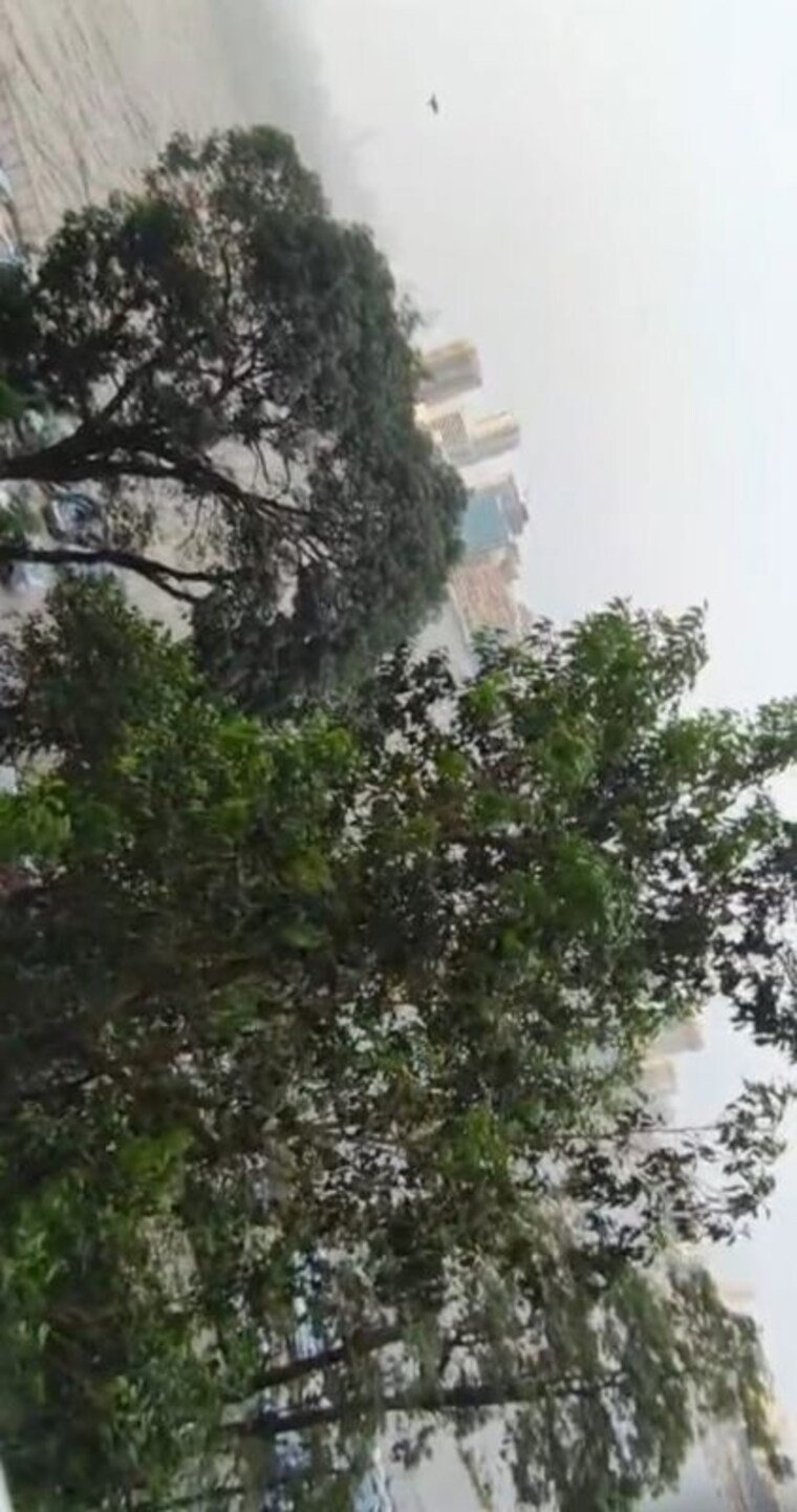 Garden, maker-tower 1.5 Bedroom 675 Sq.Ft. Apartment In Cuffe Parade Mumbai 10347486