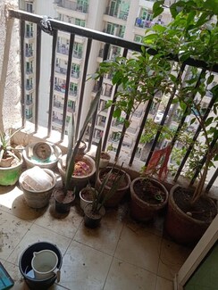 3 BHK Apartment For Sale in Gaur City 2 - 12th Avenue
