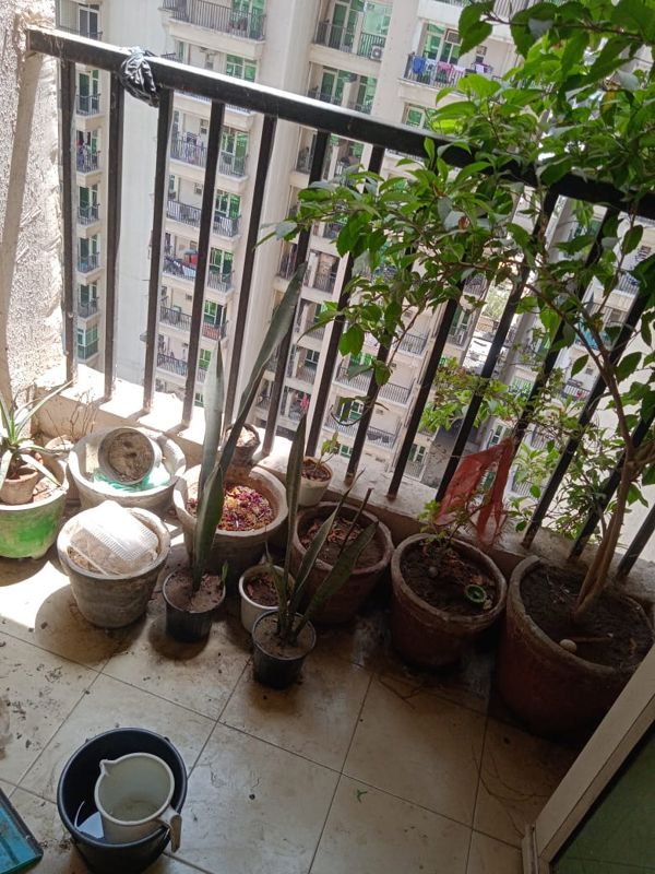 3 BHK Apartment For Sale in Gaur City 2 - 12th Avenue