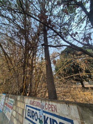  Land – Exterior View View at Bileshivale - for Sale