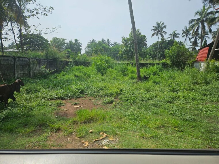 Garden, kuriachira  2613 Sq.Ft. Plot In Kuriachira Thrissur 10347618