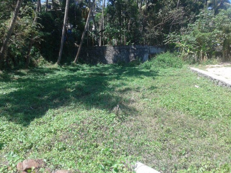undefined, kuriachira  2613 Sq.Ft. Plot In Kuriachira Thrissur 10347618