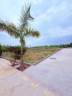 Plot For Sale in Biharigarh