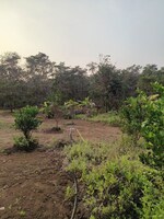 8500 Sq.Ft. Land in Pali