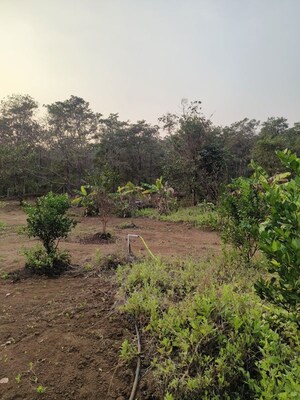  Land For Sale in Pali