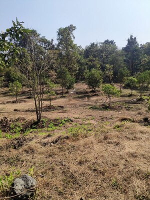 Plot Area in  Land at Pali – for Sale